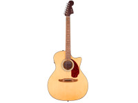 Fender California Deluxe Newporter CE Pickguard Tortoiseshell Natural Fender California Deluxe Newporter CE Pickguard Tortoiseshell Natural